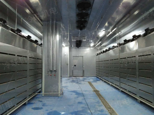 天津低溫高濕解凍機介紹